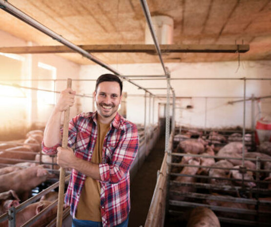 Ibergenética formará a especialistas en producción porcina ante la alta demanda laboral existente en el sector