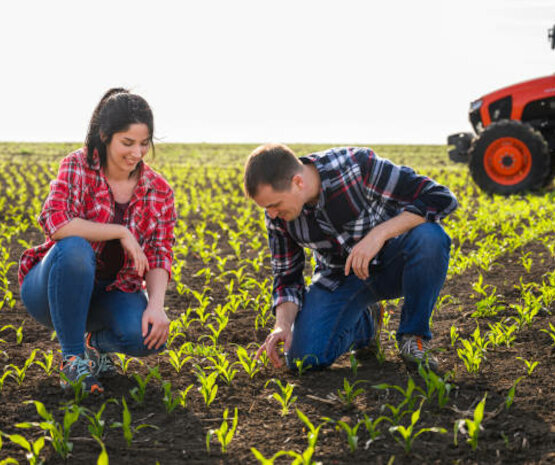 ODS 16: el modelo cooperativo agroalimentario extremeño es democrático e igualitario