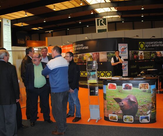 Cooperativas Extremadura representará al cooperativismo de la región en Agroexpo 2019