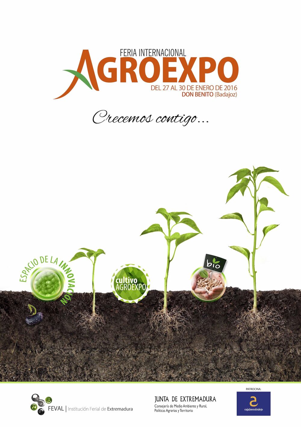 Agroexpo contará con más de 200 empresas expositoras en esta edición