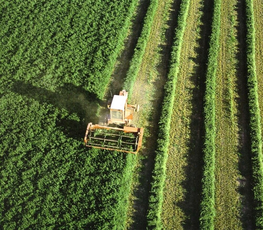  Agricultura empieza a pagar más de 106 de la PAC en Extremadura