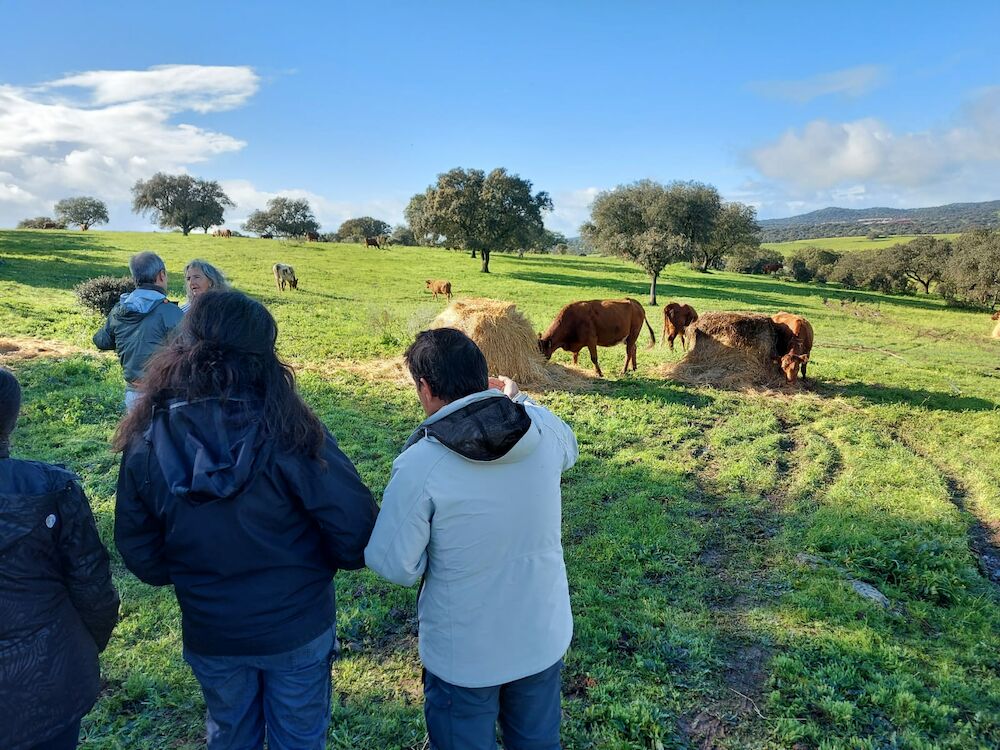 Arranca el proyecto PASTURE+: Productos ganaderos que restauran el capital natural, mitigan el cambio climático y promueven el desarrollo rural.